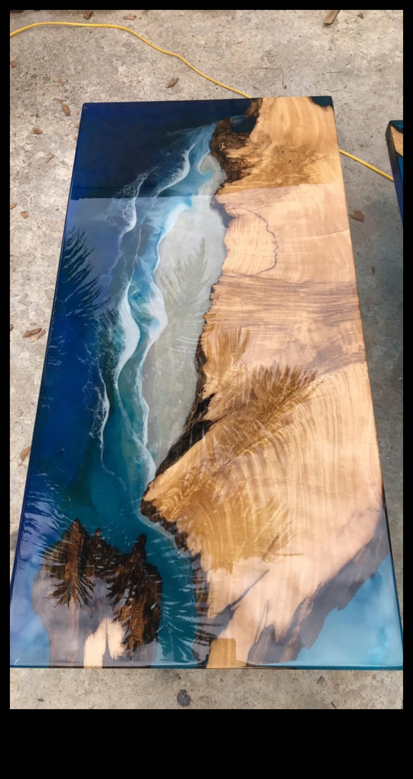 Water's Edge: Unde pământul se întâlnește cu viața acvatică