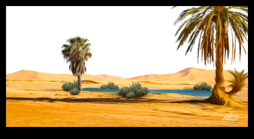 Deșerturile Frontiera neexploatată pentru știință 5 De ce sunt deșerturile și peisajele aride importante pentru cercetarea științifică?