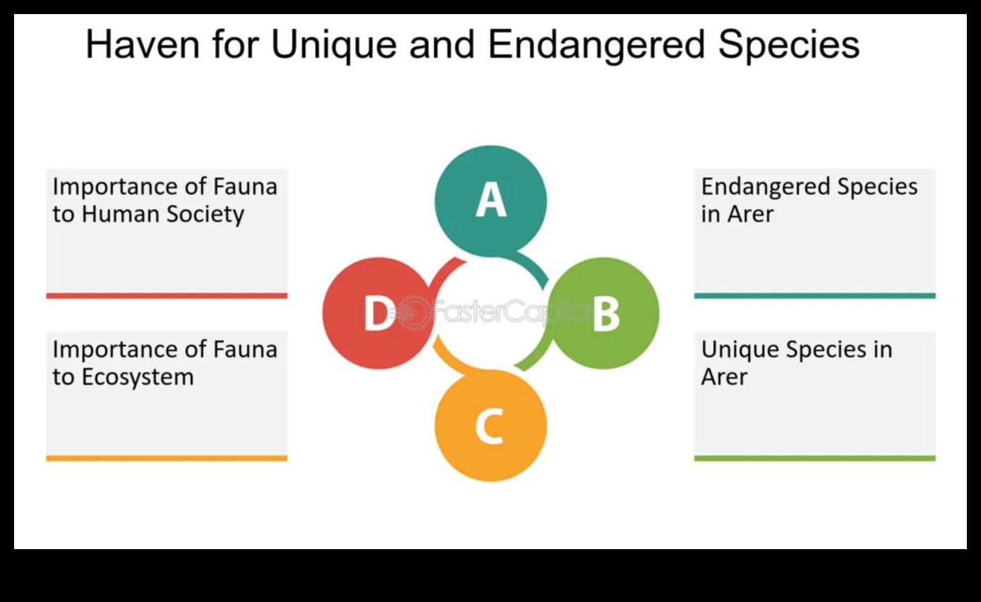 De ce peisajele de coastă sunt atât de dinamice și diverse?