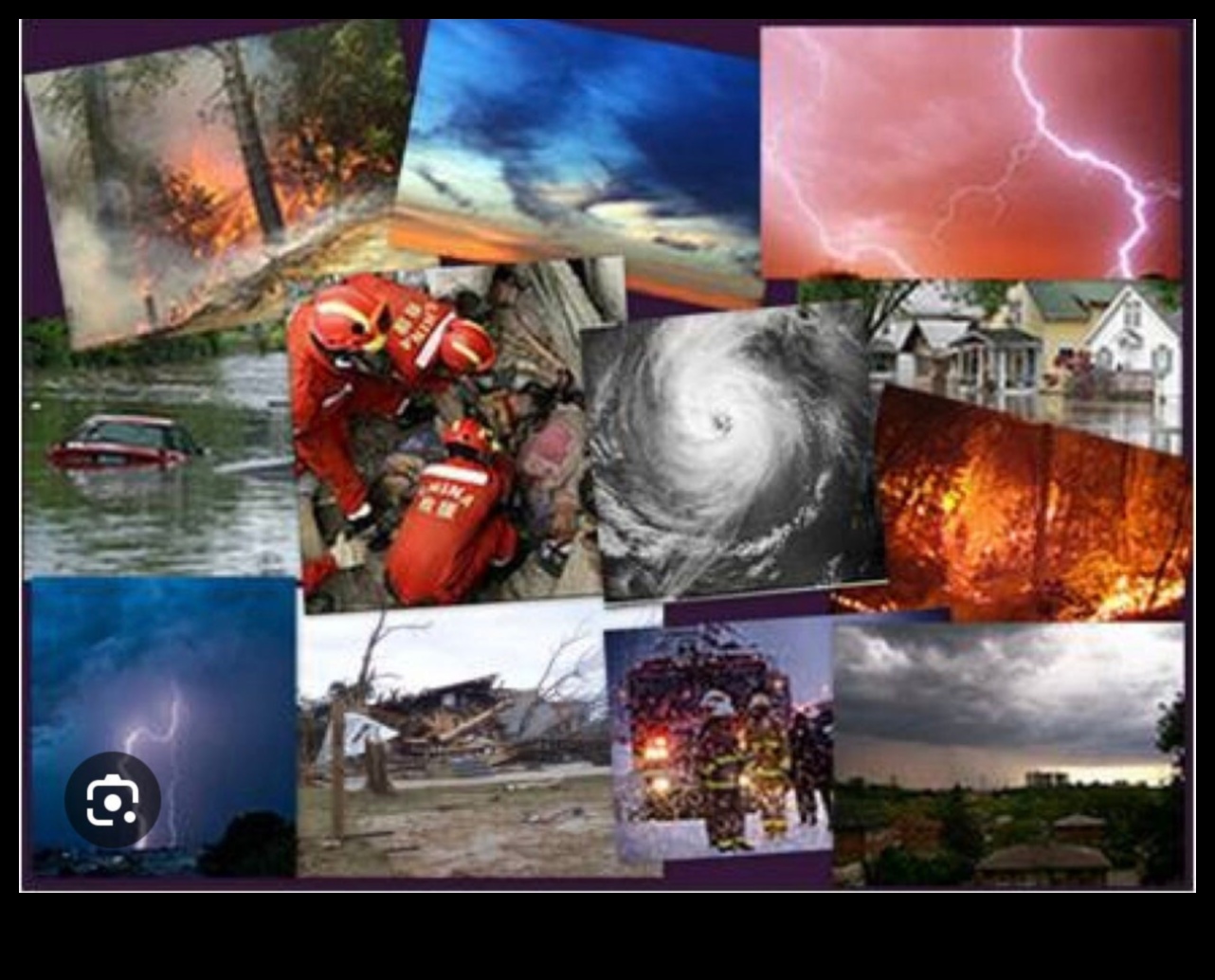 Peisaje modelate de dezastre 4 De ce anumite peisaje sunt mai vulnerabile la dezastrele naturale?