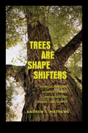 Peisaje modelate de dezastre 5 De ce anumite peisaje sunt mai vulnerabile la dezastrele naturale?