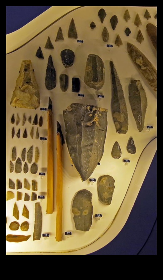 Artefacte artizanale: măiestria instrumentelor preistorice