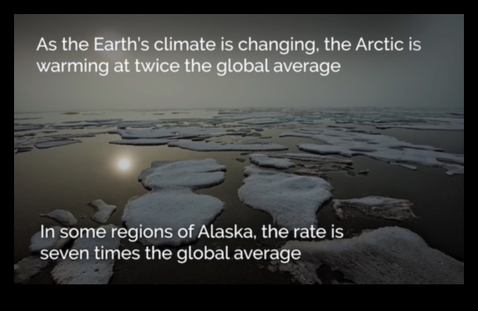 Frumusețe fragilă: Floră și faună în ecosisteme delicate