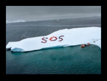 Frumusețe fragilă: Floră și faună în ecosisteme delicate