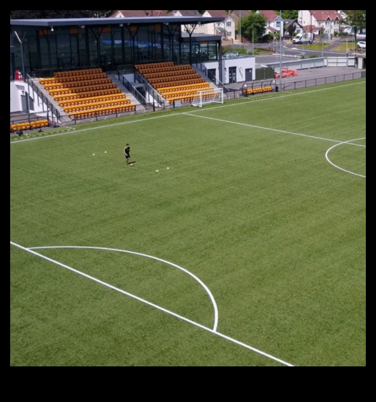 Stadionul de rezistență: antrenamente în aer liber în arenele atletice