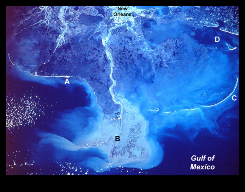 De ce sunt deltele râurilor componente importante ale peisajelor acvatice?