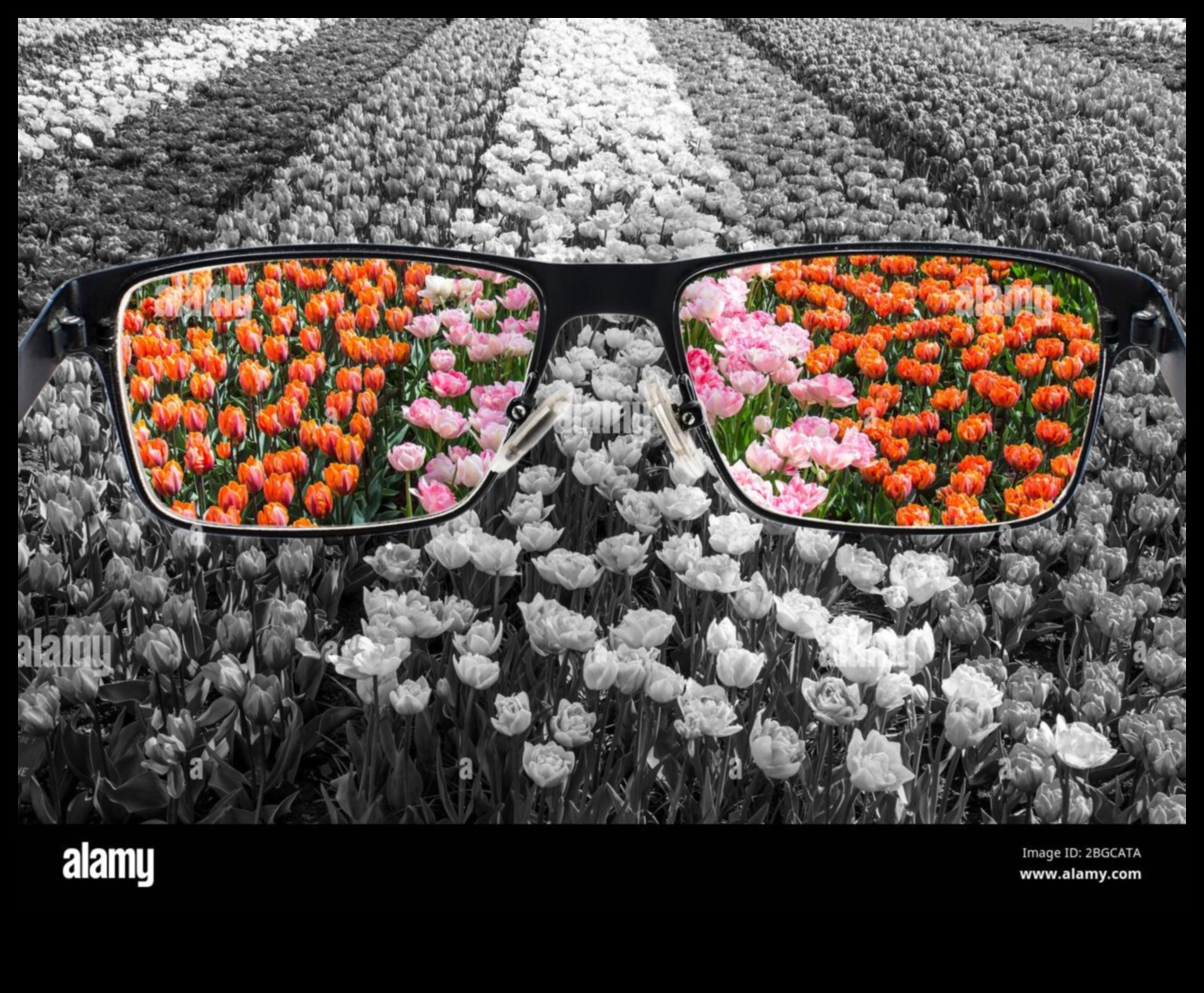 Proiectarea perspectivelor: artă web prin diferite lentile