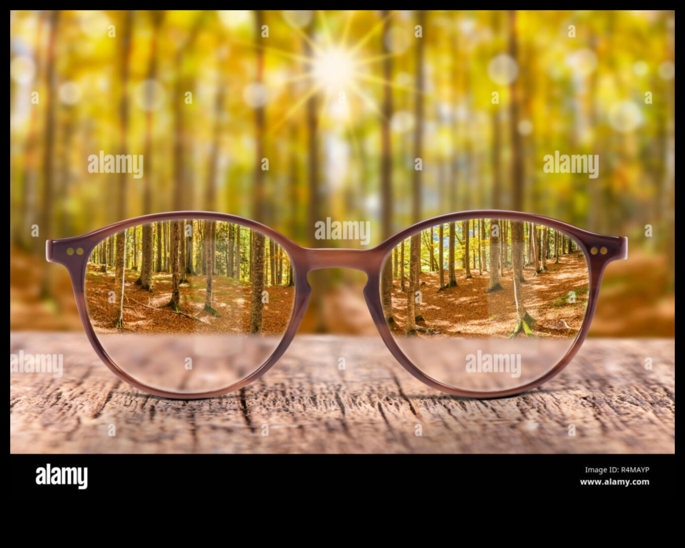 Proiectarea perspectivelor: artă web prin diferite lentile