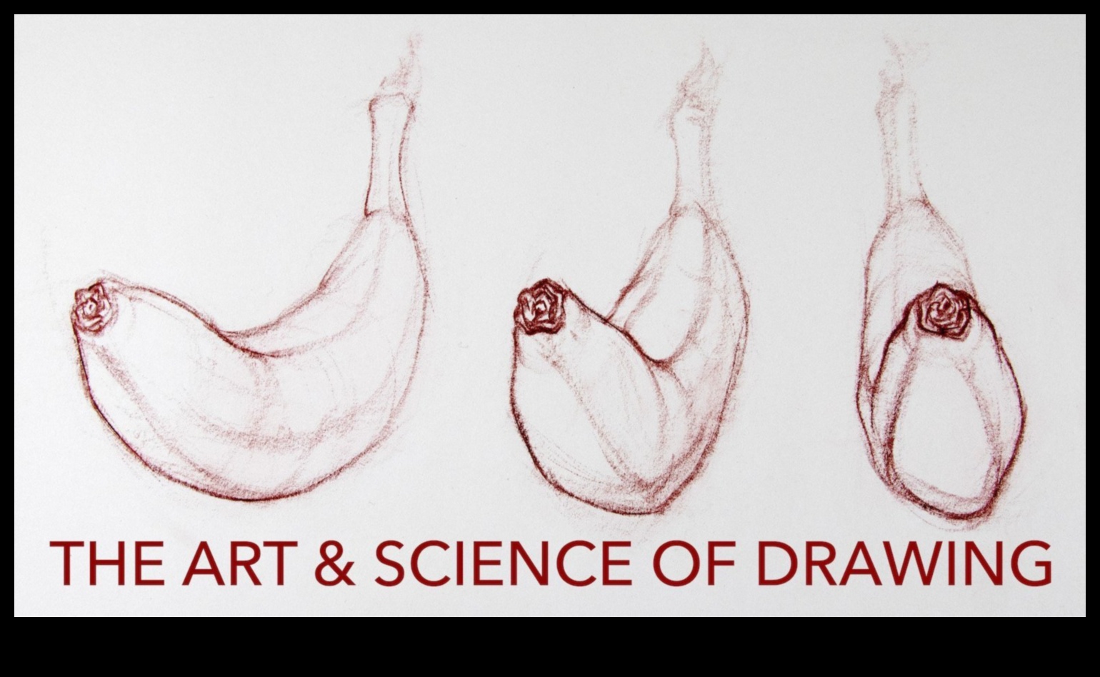 Precizie în practică: transmiterea de idei prin ilustrare științifică