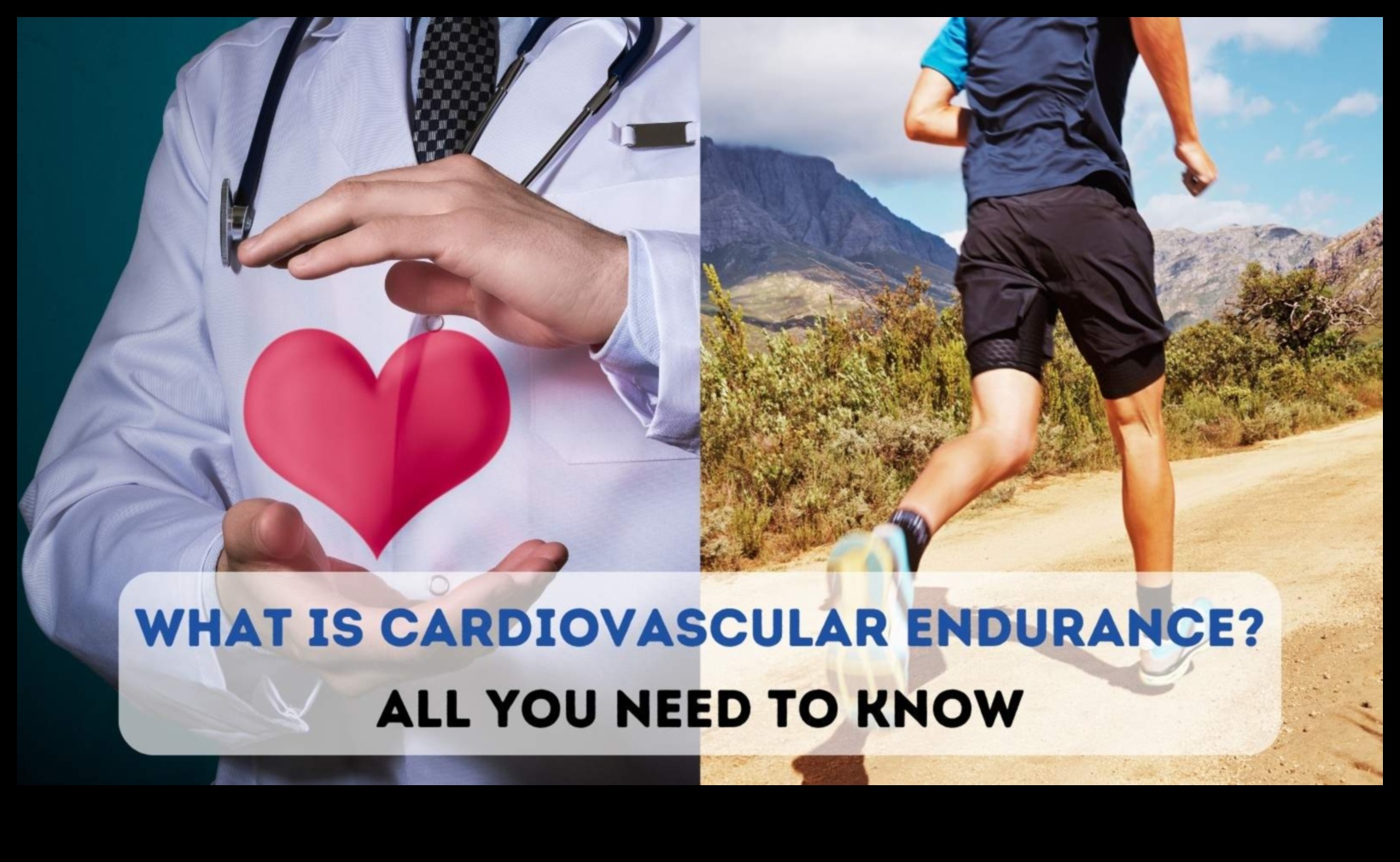 Călătorie către o inimă mai puternică: Minunile cardiovasculare dezvăluite