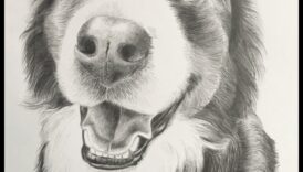 Umbre din grafit: Stăpânirea jocului de lumină și întuneric în creion