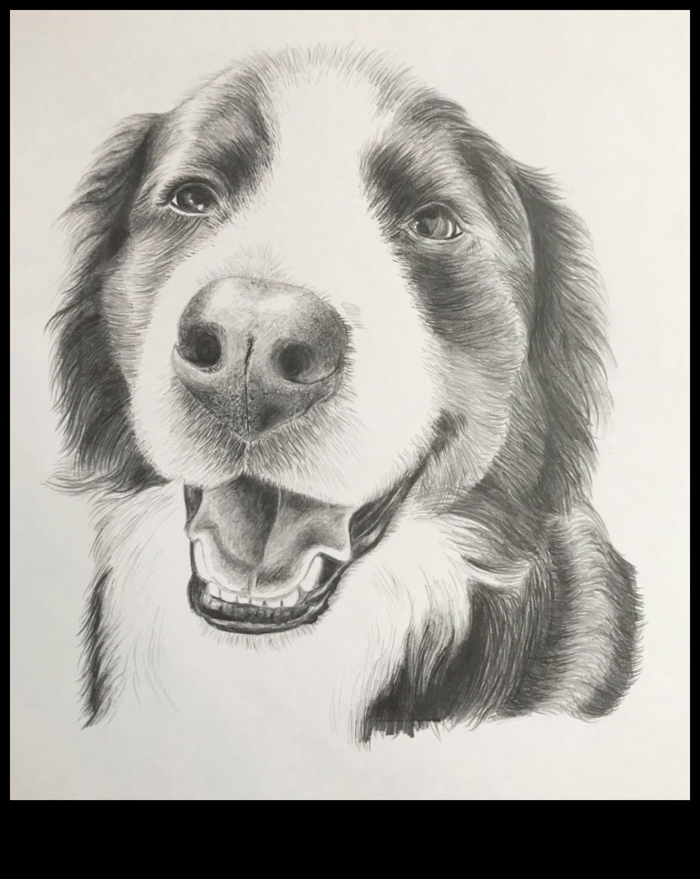 Umbre din grafit: Stăpânirea jocului de lumină și întuneric în creion