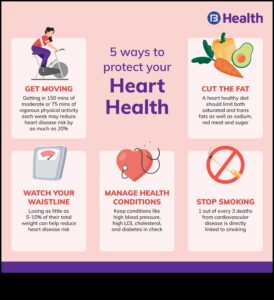 Autostrada pentru sănătatea inimii: navigarea în sănătate cu antrenamente cardio