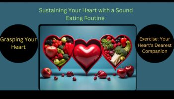 Călătorie către o inimă mai puternică: Minunile cardiovasculare dezvăluite