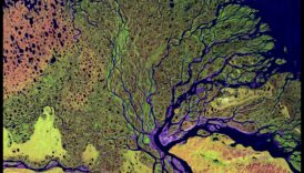 Deltele fluviale Singura vieții comunităților de coastă 6 De ce sunt deltele râurilor componente importante ale peisajelor acvatice?