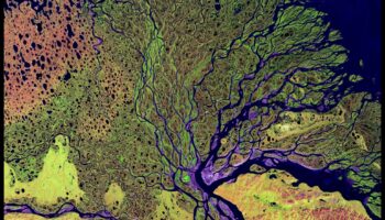 De ce sunt deltele râurilor componente importante ale peisajelor acvatice?