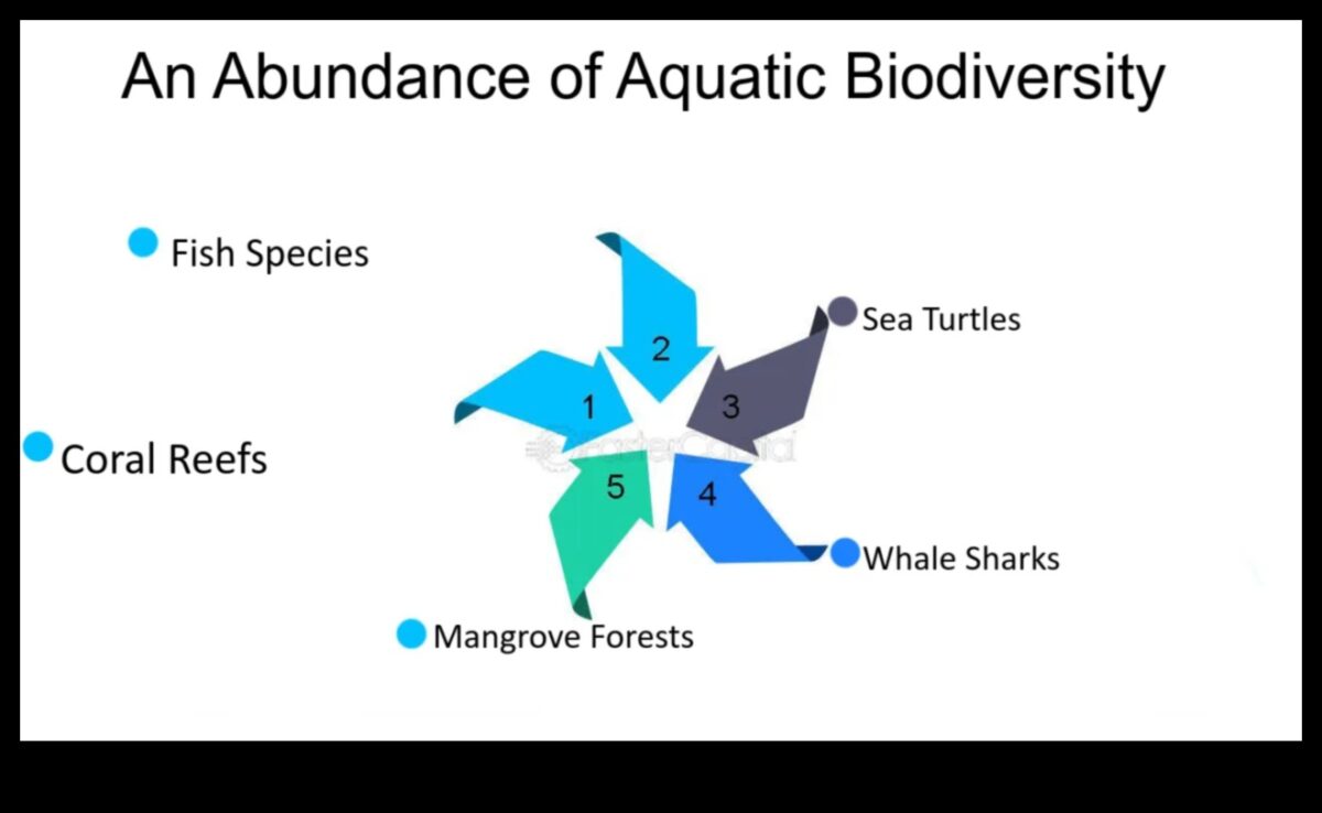 De ce peisajele de coastă sunt atât de dinamice și diverse?