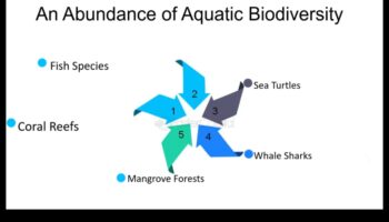 De ce peisajele de coastă sunt atât de dinamice și diverse?