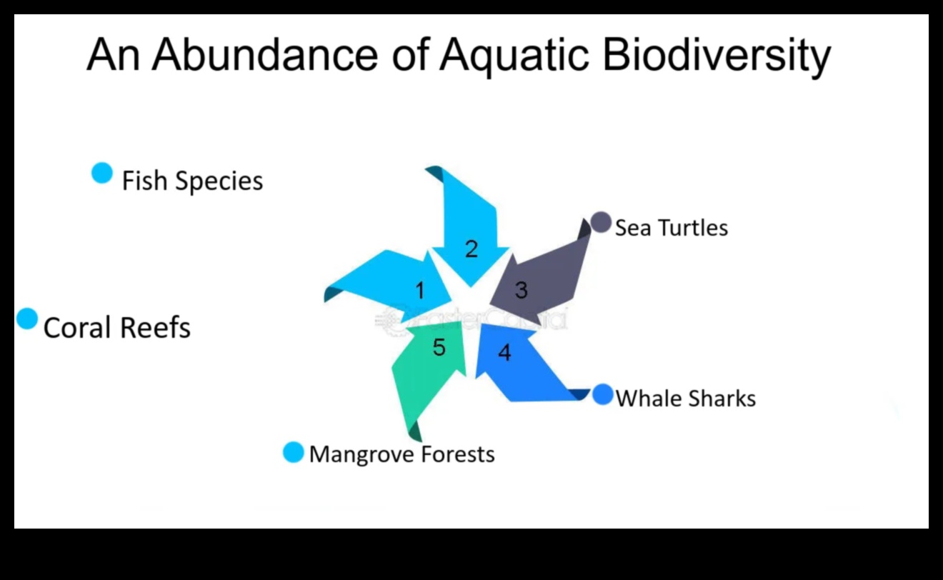 De ce peisajele de coastă sunt atât de dinamice și diverse?