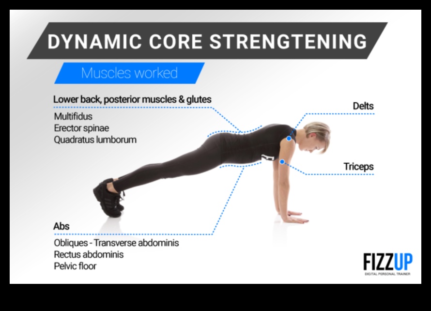 Dynamic Core Dynamo: exerciții magistrale pentru o secțiune mediană sculptată