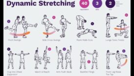 Dynamic Stretch Symphony: Mișcări de armonizare pentru o încălzire fluidă
