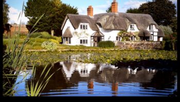 Countryside Euphoria: Scene rurale liniștite din întreaga lume