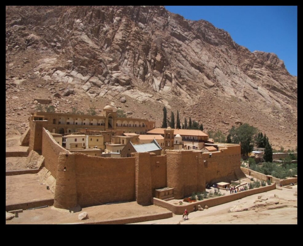 Mănăstirile deșertului: moștenirea artistică în sălbăticia bizantină