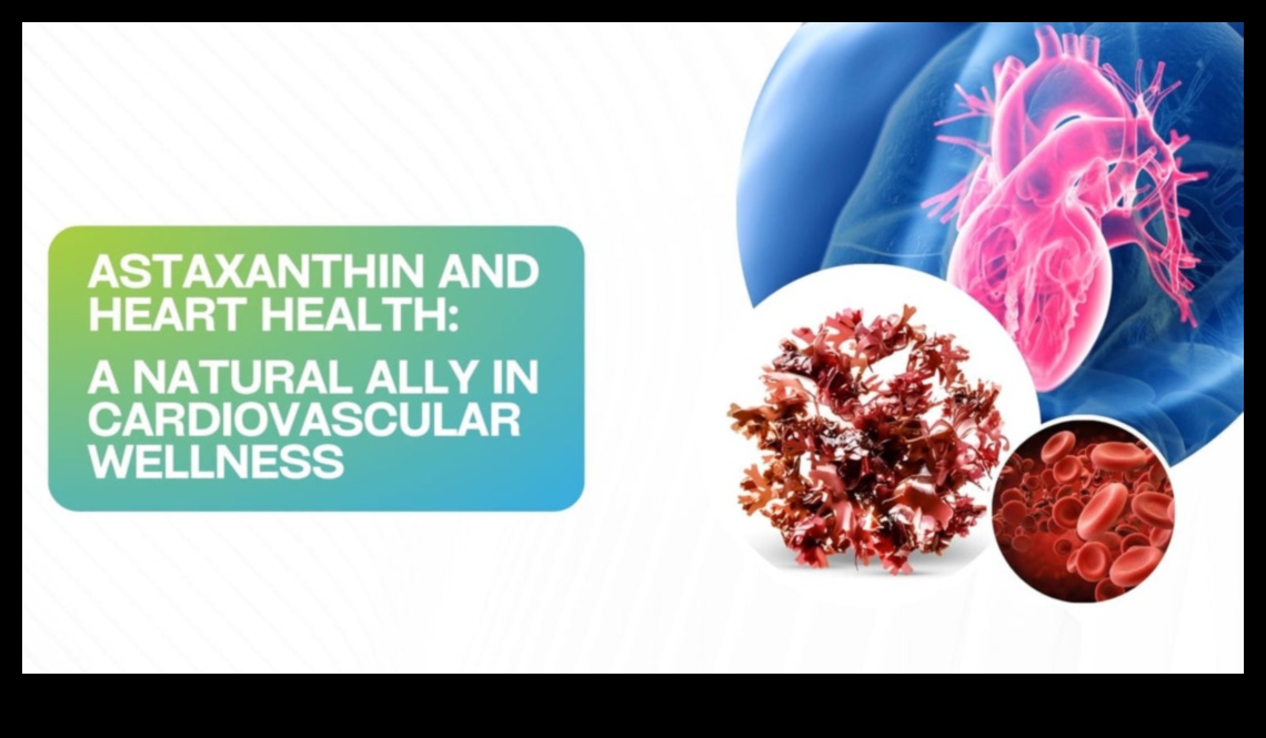 Orizonturi pentru sănătatea inimii: descoperirea bunăstării prin cardio