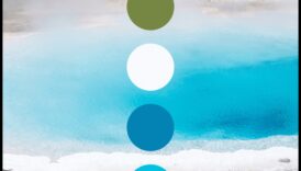 Cromatica vibrantă a naturii 6 Paleta naturii: O colecție bogată de fotografii de peisaj vibrante în fiecare cadru