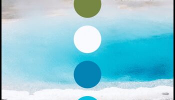 Paleta naturii: O colecție bogată de fotografii de peisaj vibrante în fiecare cadru