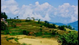 Peisaje modelate de dezastre 6 De ce anumite peisaje sunt mai vulnerabile la dezastrele naturale?