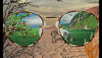 Proiectarea perspectivelor: artă web prin diferite lentile