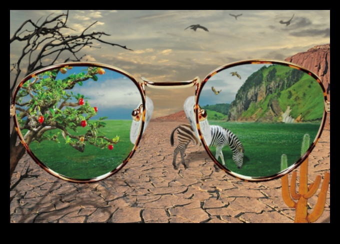 Proiectarea perspectivelor: artă web prin diferite lentile