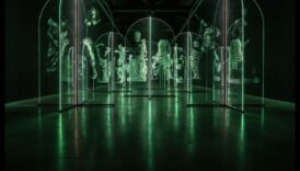 Surprize senzoriale: experiența multisenzorială a artei contemporane