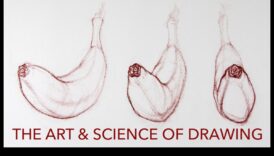 Detalierea științifică: tehnici pentru transmiterea complexității în desene