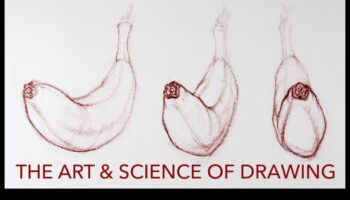 Detalierea științifică: tehnici pentru transmiterea complexității în desene