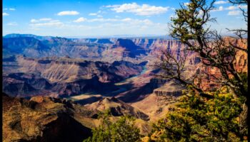 Văi înverzite: peisaje luxuriante între dealuri